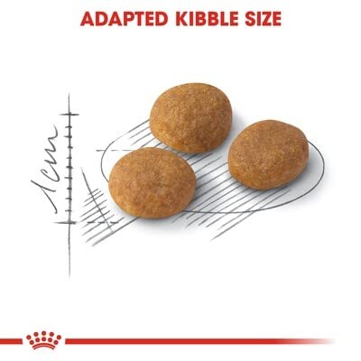 Amazon | ロイヤルカナン FHN アロマ エクシジェント 成猫用 10kg
